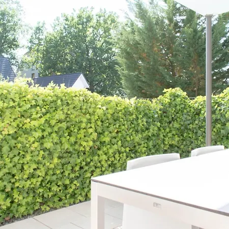 Frische Brise Lejlighed